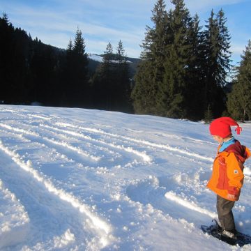 Radiotipp: Naturentdeckungen im bayerischen Winter