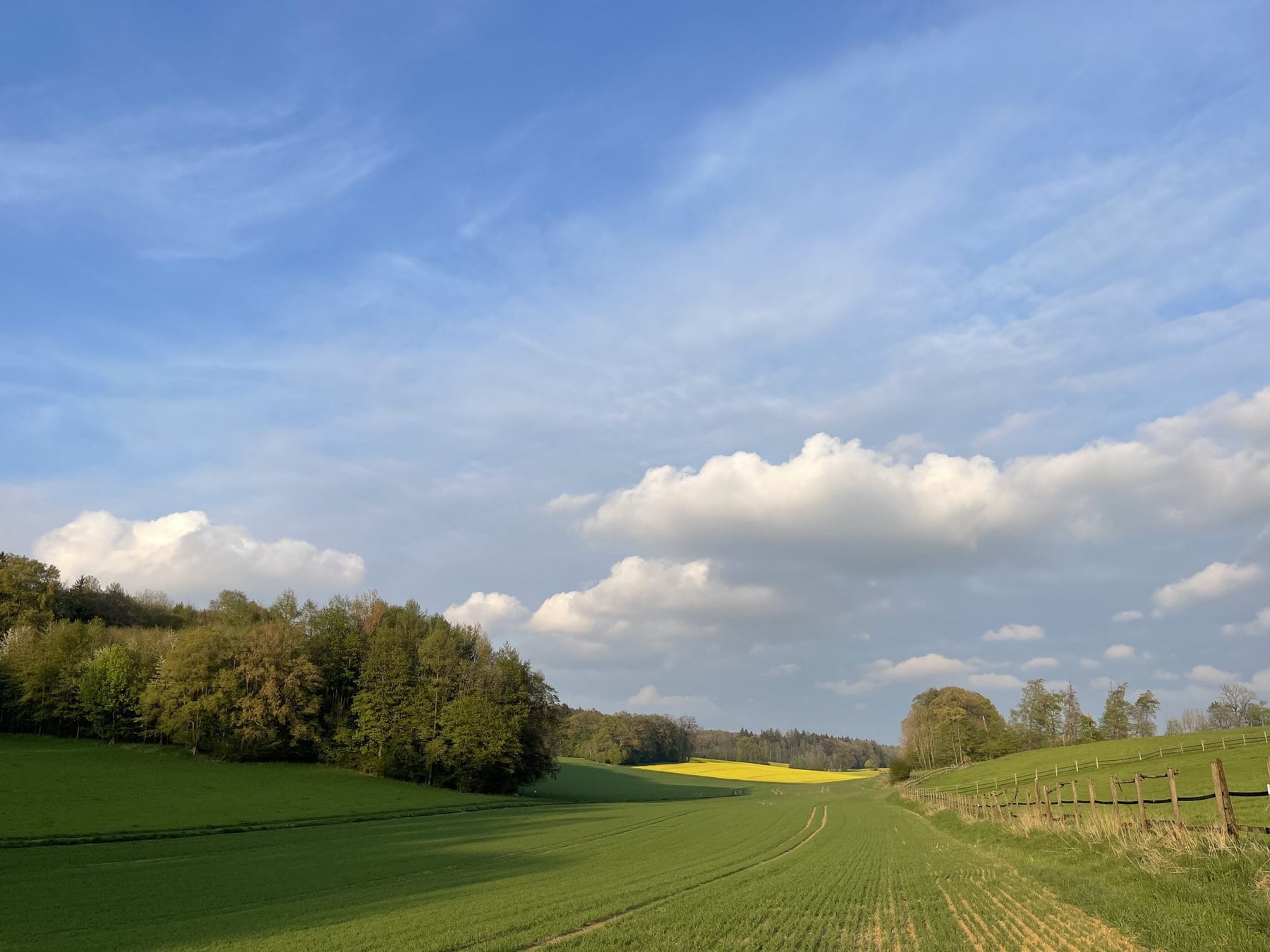 Frühlingserwachen über Leutstetten – Kräuterführung